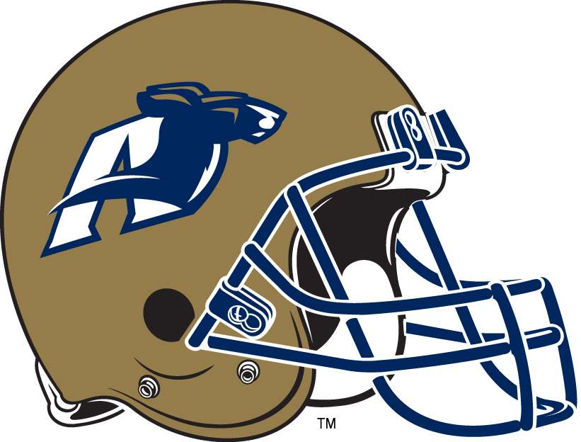 Akron Zips 2003-Pres Helmet Logo diy DTF decal sticker